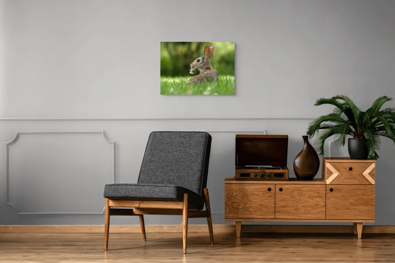 Tablou Canvas, "Iepurele visător cu floare albă", Iepure, Iarbă, Trifoi, Urechi, Natură, Verde, Blană, Relaxare, Privește, Primăvară, 70 x 50 cm – poza 4