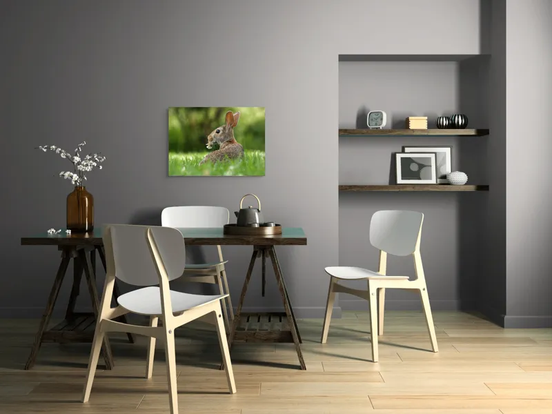 Tablou Canvas, "Iepurele visător cu floare albă", Iepure, Iarbă, Trifoi, Urechi, Natură, Verde, Blană, Relaxare, Privește, Primăvară, 70 x 50 cm – poza 5