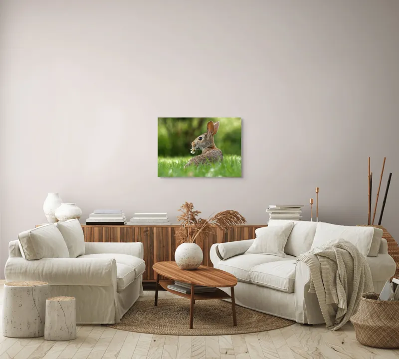 Tablou Canvas, "Iepurele visător cu floare albă", Iepure, Iarbă, Trifoi, Urechi, Natură, Verde, Blană, Relaxare, Privește, Primăvară, 70 x 50 cm – poza 6