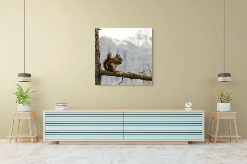 Tablou Canvas, "Veverița pe creanga muntelui pitoresc", Veveriță, Copac, Ramură, Mâncare, Blană, Natură, Fundal, Munți, Zăpadă, Curiozitate, 100 x 100 cm – poza 5
