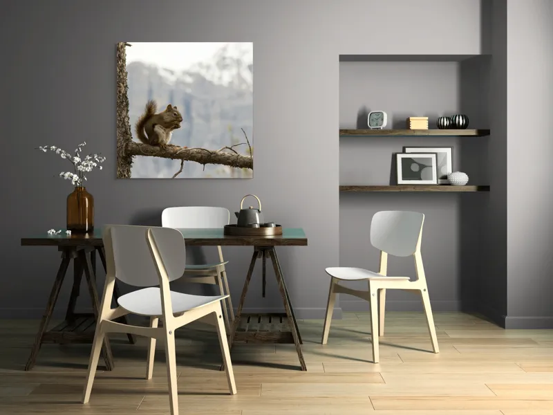 Tablou Canvas, "Veverița pe creanga muntelui pitoresc", Veveriță, Copac, Ramură, Mâncare, Blană, Natură, Fundal, Munți, Zăpadă, Curiozitate, 100 x 100 cm – poza 6