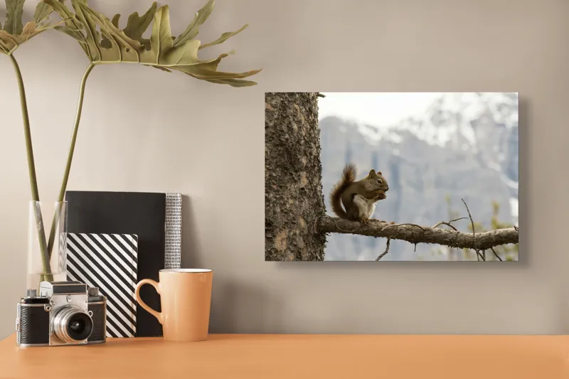 Tablou Canvas, "Veverița pe creanga muntelui pitoresc", Veveriță, Copac, Ramură, Mâncare, Blană, Natură, Fundal, Munți, Zăpadă, Curiozitate, 39 x 26 cm – poza 3