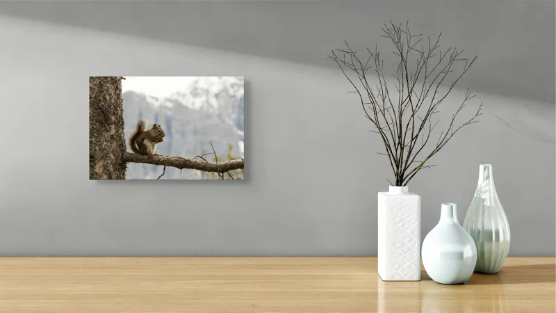 Tablou Canvas, "Veverița pe creanga muntelui pitoresc", Veveriță, Copac, Ramură, Mâncare, Blană, Natură, Fundal, Munți, Zăpadă, Curiozitate, 39 x 26 cm – poza 8