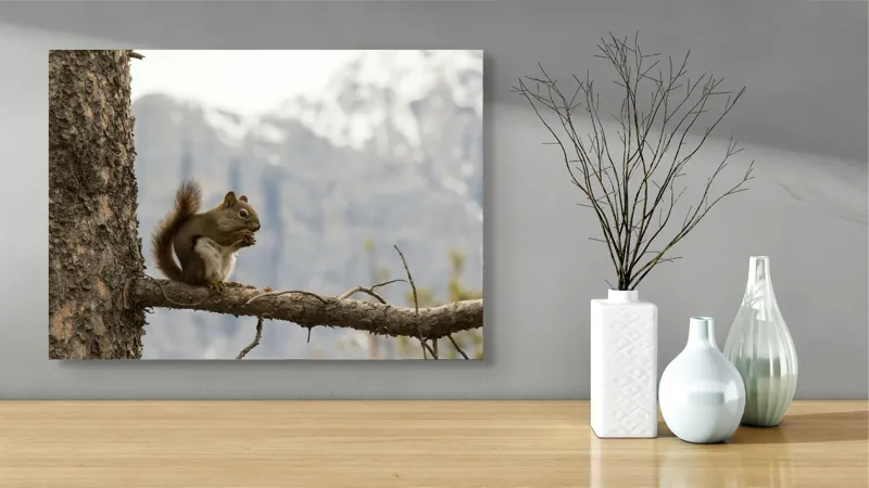 Tablou Canvas, "Veverița pe creanga muntelui pitoresc", Veveriță, Copac, Ramură, Mâncare, Blană, Natură, Fundal, Munți, Zăpadă, Curiozitate, 70 x 50 cm – poza 3