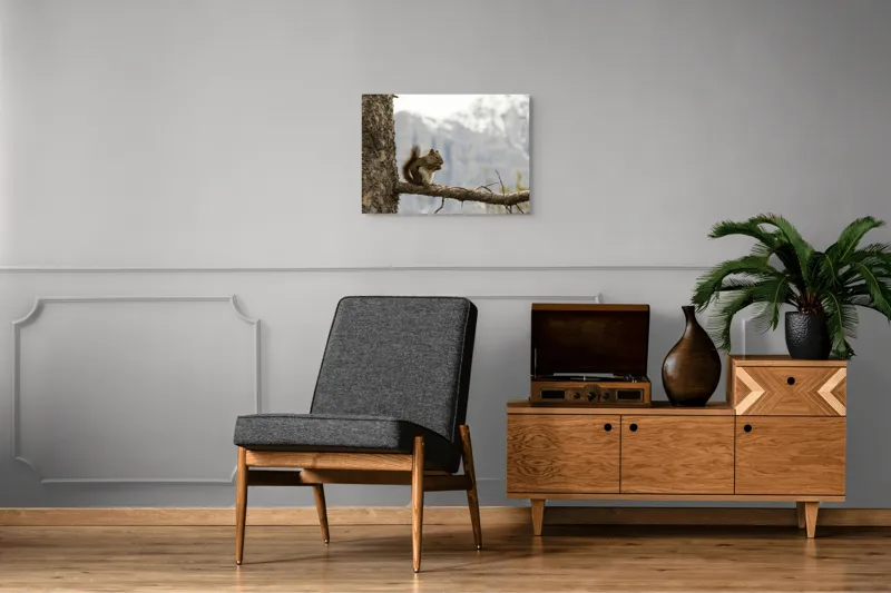 Tablou Canvas, "Veverița pe creanga muntelui pitoresc", Veveriță, Copac, Ramură, Mâncare, Blană, Natură, Fundal, Munți, Zăpadă, Curiozitate, 70 x 50 cm – poza 4