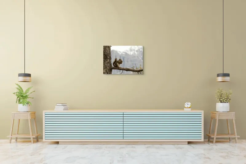 Tablou Canvas, "Veverița pe creanga muntelui pitoresc", Veveriță, Copac, Ramură, Mâncare, Blană, Natură, Fundal, Munți, Zăpadă, Curiozitate, 70 x 50 cm – poza 7