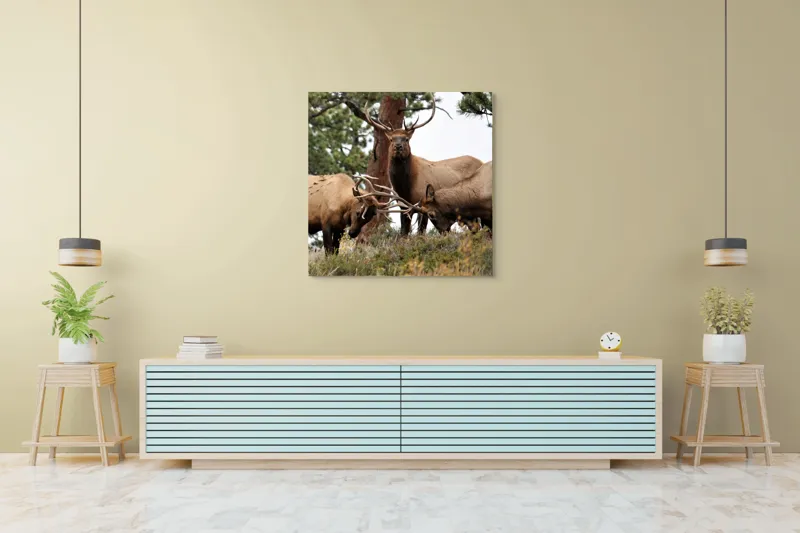 Tablou Canvas, "Cerbii în mijlocul pădurii veșnice", 100 x 100 cm – poza 5