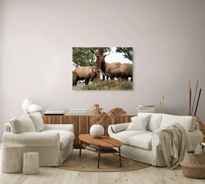 Tablou Canvas, "Cerbii în mijlocul pădurii veșnice", 100 x 70 cm – poza 3