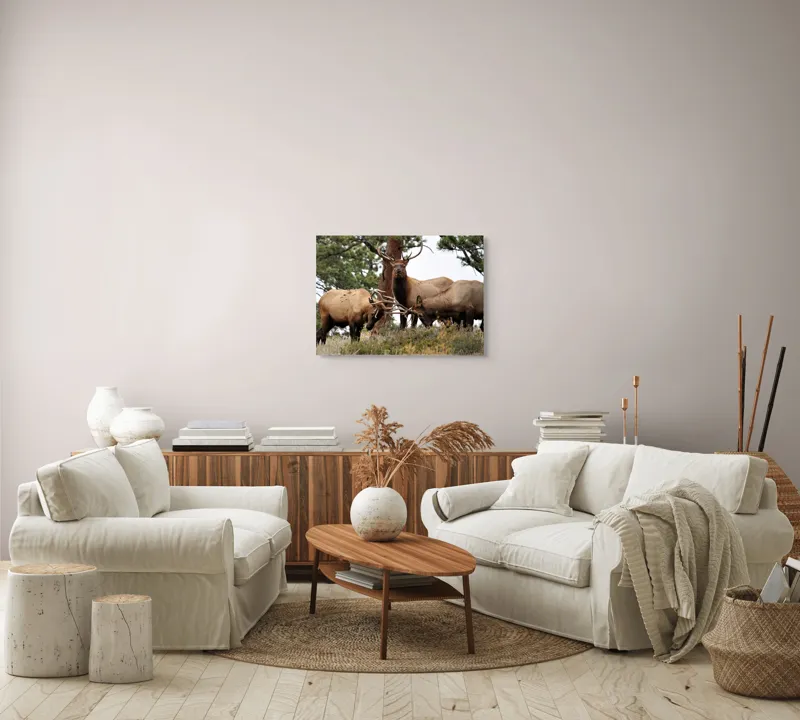Tablou Canvas, "Cerbii în mijlocul pădurii veșnice", Eu nu știu cine sunt persoanele din imagine. Elani, Pădure, Corn, Natură, Cer, Iarbă, Arbori, Tranquilitate, Sălbăticie, Peisaj, 70 x 50 cm – poza 6