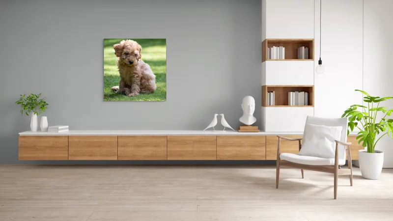 Tablou Canvas, "Cățelușul buclat pe iarbă verde", Cățeluș, Blănos, Drăguț, Jucăuș, Curios, Pufos, Grădină, Verde, Luminos, Încântător, 100 x 100 cm – poza 8