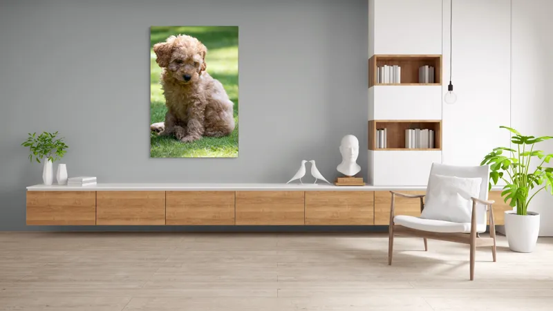 Tablou Canvas, "Cățelușul buclat pe iarbă verde", Cățeluș, Blănos, Drăguț, Jucăuș, Curios, Pufos, Grădină, Verde, Luminos, Încântător, 100 x 150 cm – poza 8