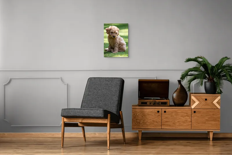 Tablou Canvas, "Cățelușul buclat pe iarbă verde", Cățeluș, Blănos, Drăguț, Jucăuș, Curios, Pufos, Grădină, Verde, Luminos, Încântător, 39 x 54 cm – poza 8