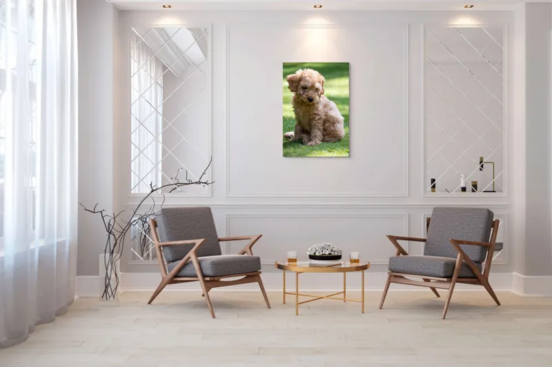Tablou Canvas, "Cățelușul buclat pe iarbă verde", Cățeluș, Blănos, Drăguț, Jucăuș, Curios, Pufos, Grădină, Verde, Luminos, Încântător, 70 x 100 cm – poza 8