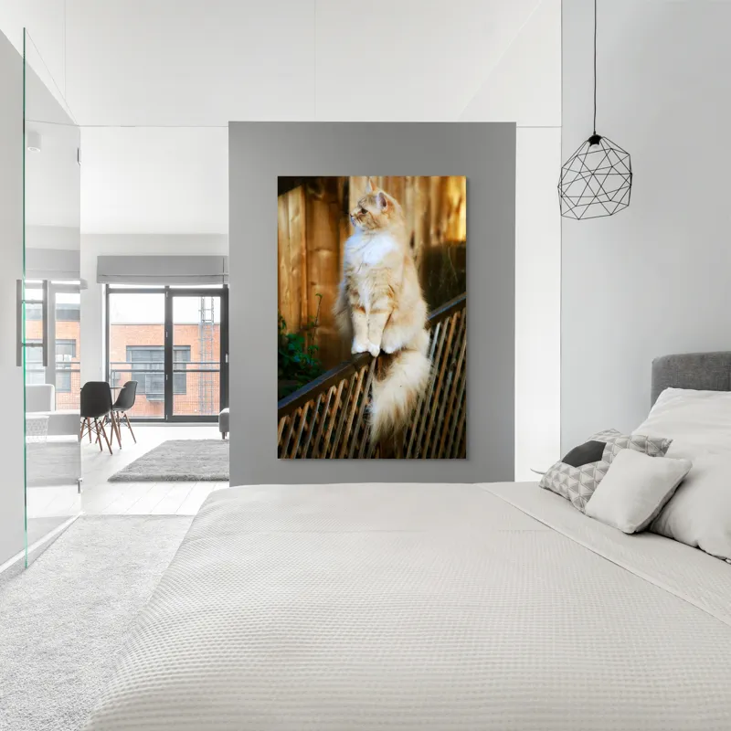 Tablou Canvas, "Pisica pufoasă pe gard iluminat", Pisică, Blană, Pufos, Gard, Lemn, Verdeață, Coadă, Privire, Agilitate, Blând., 100 x 150 cm – poza 5