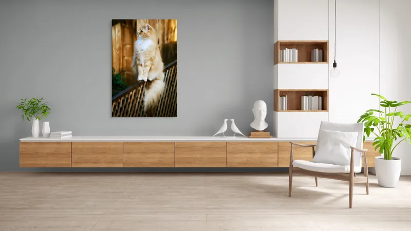 Tablou Canvas, "Pisica pufoasă pe gard iluminat", Pisică, Blană, Pufos, Gard, Lemn, Verdeață, Coadă, Privire, Agilitate, Blând., 100 x 150 cm – poza 8
