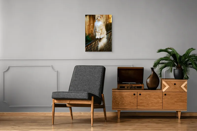 Tablou Canvas, "Pisica pufoasă pe gard iluminat", Pisică, Blană, Pufos, Gard, Lemn, Verdeață, Coadă, Privire, Agilitate, Blând., 50 x 70 cm – poza 8