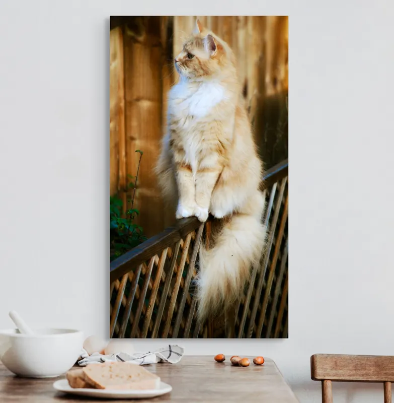 Tablou Canvas, "Pisica pufoasă pe gard iluminat", Pisică, Blană, Pufos, Gard, Lemn, Verdeață, Coadă, Privire, Agilitate, Blând., 50 x 90 cm – poza 3