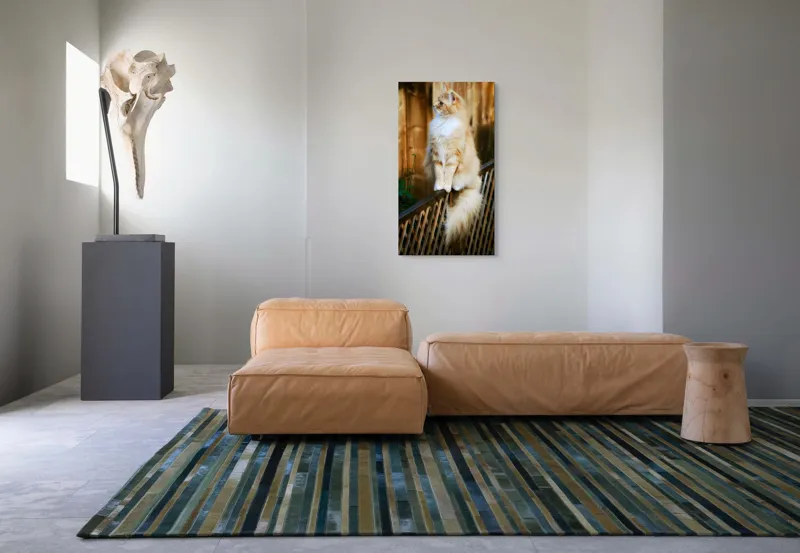 Tablou Canvas, "Pisica pufoasă pe gard iluminat", Pisică, Blană, Pufos, Gard, Lemn, Verdeață, Coadă, Privire, Agilitate, Blând., 50 x 90 cm – poza 5