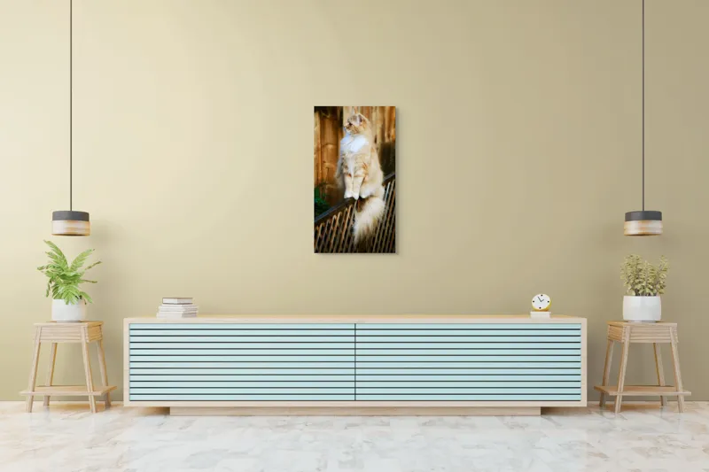 Tablou Canvas, "Pisica pufoasă pe gard iluminat", Pisică, Blană, Pufos, Gard, Lemn, Verdeață, Coadă, Privire, Agilitate, Blând., 50 x 90 cm – poza 6
