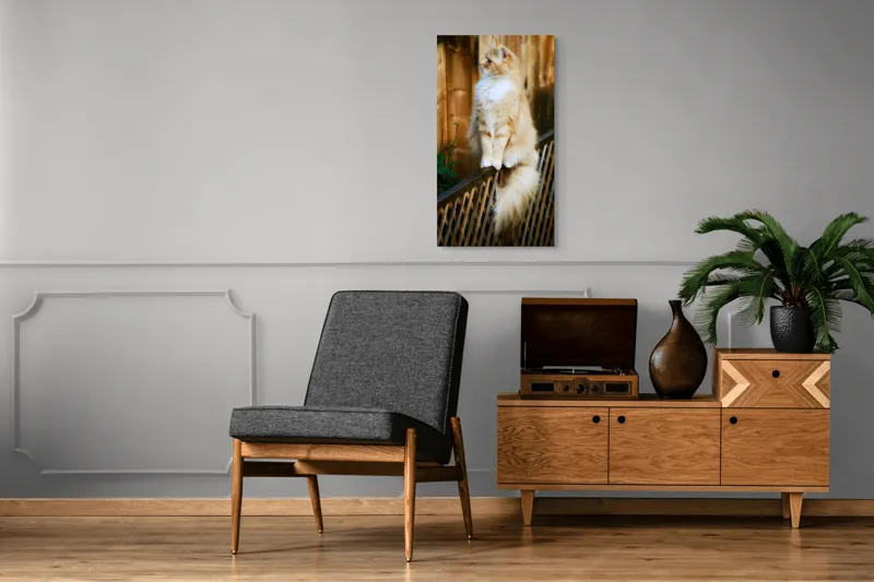 Tablou Canvas, "Pisica pufoasă pe gard iluminat", Pisică, Blană, Pufos, Gard, Lemn, Verdeață, Coadă, Privire, Agilitate, Blând., 50 x 90 cm – poza 8