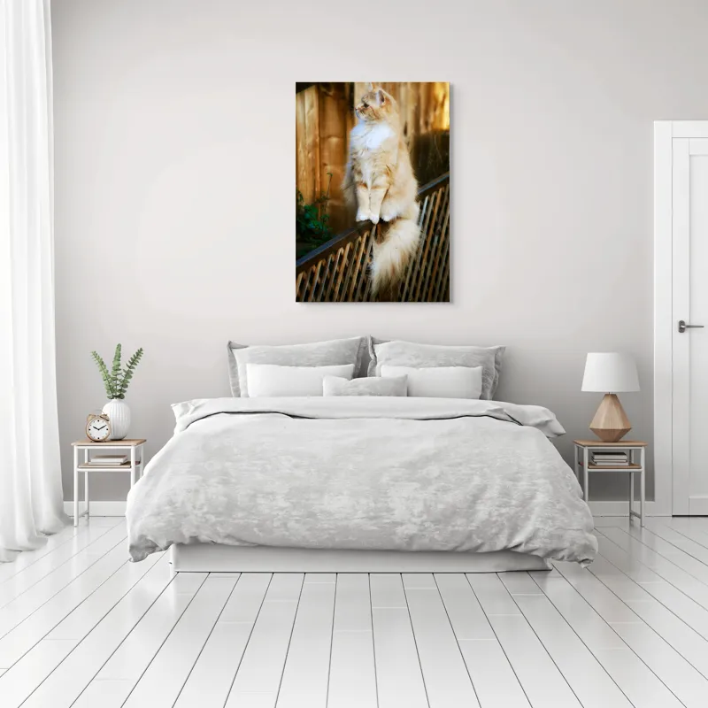 Tablou Canvas, "Pisica pufoasă pe gard iluminat", Pisică, Blană, Pufos, Gard, Lemn, Verdeață, Coadă, Privire, Agilitate, Blând., 70 x 100 cm – poza 3