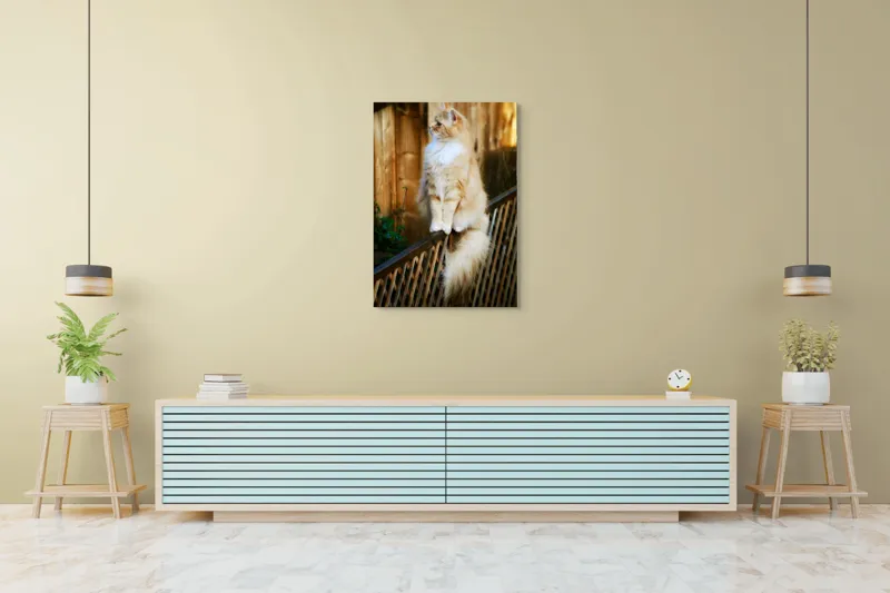 Tablou Canvas, "Pisica pufoasă pe gard iluminat", Pisică, Blană, Pufos, Gard, Lemn, Verdeață, Coadă, Privire, Agilitate, Blând., 70 x 100 cm – poza 5