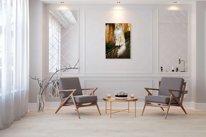 Tablou Canvas, "Pisica pufoasă pe gard iluminat", Pisică, Blană, Pufos, Gard, Lemn, Verdeață, Coadă, Privire, Agilitate, Blând., 70 x 100 cm – poza 8