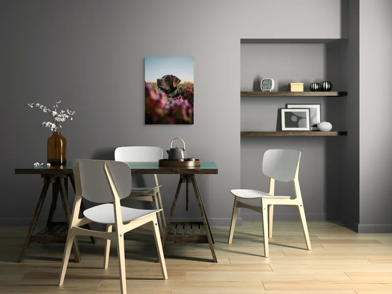 Tablou Canvas, "Câinele și florile de primăvară", Ștefănie, Blândețe, Apus, Flori, Privește, Calm, Natură, Moment, Liniște, Frumusețe, 50 x 70 cm – poza 5