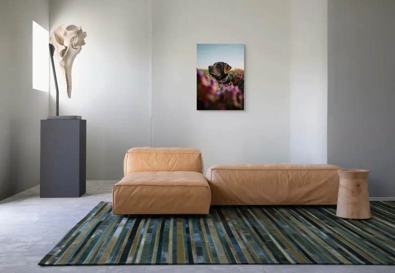 Tablou Canvas, "Câinele și florile de primăvară", Ștefănie, Blândețe, Apus, Flori, Privește, Calm, Natură, Moment, Liniște, Frumusețe, 50 x 70 cm – poza 7