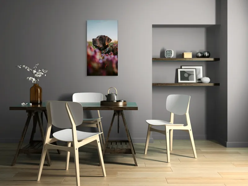 Tablou Canvas, "Câinele și florile de primăvară", Ștefănie, Blândețe, Apus, Flori, Privește, Calm, Natură, Moment, Liniște, Frumusețe, 50 x 90 cm – poza 4