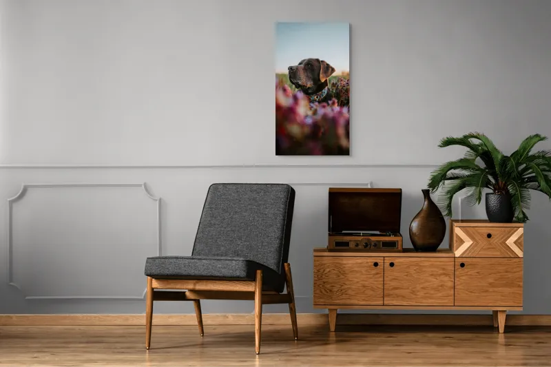 Tablou Canvas, "Câinele și florile de primăvară", Ștefănie, Blândețe, Apus, Flori, Privește, Calm, Natură, Moment, Liniște, Frumusețe, 50 x 90 cm – poza 8