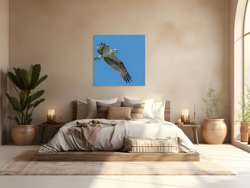 Tablou Canvas, "Răsfățul înaltului cerului albastru", Pasăre, Cer, Vultur, Aripi, Zbor, Albastru, Prădător, Penaj, 100 x 100 cm – poza 4