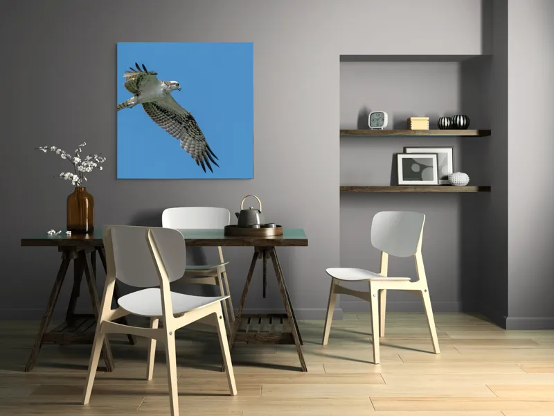 Tablou Canvas, "Răsfățul înaltului cerului albastru", Pasăre, Cer, Vultur, Aripi, Zbor, Albastru, Prădător, Penaj, 100 x 100 cm – poza 6