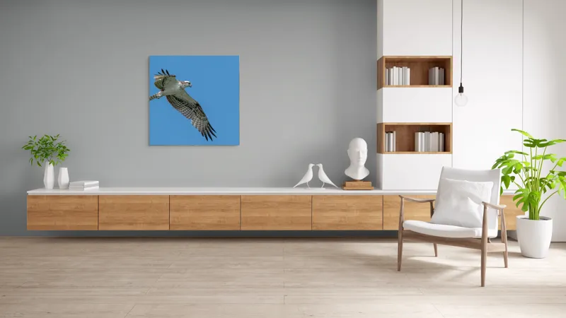 Tablou Canvas, "Răsfățul înaltului cerului albastru", Pasăre, Cer, Vultur, Aripi, Zbor, Albastru, Prădător, Penaj, 100 x 100 cm – poza 8
