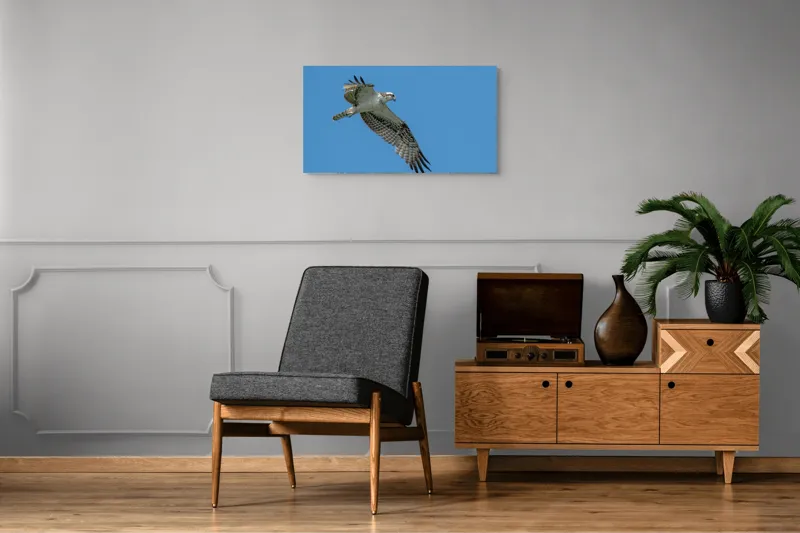 Tablou Canvas, "Răsfățul înaltului cerului albastru", Pasăre, Cer, Vultur, Aripi, Zbor, Albastru, Prădător, Penaj, 90 x 50 cm – poza 6