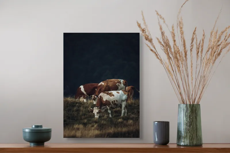 Tablou Canvas, "Vaci pașnice pe pășune montană", Vaci, Pășune, Verdeață, Apus, Natură, Serele, Coline, Tranquilitate, 39 x 54 cm – poza 3