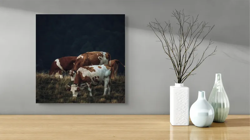 Tablou Canvas, "Vaci pașnice pe pășune montană", Vaci, Pășune, Verdeață, Apus, Natură, Serele, Coline, Tranquilitate, 50 x 50 cm – poza 3