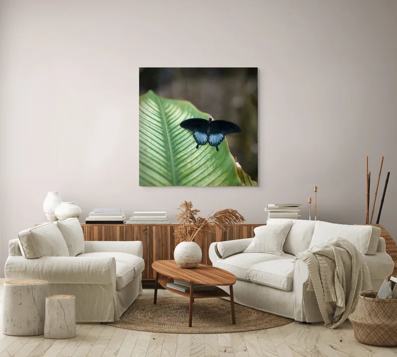 Tablou Canvas, "Fluture albastru odihnindu-se pe frunză", Fluture, Frunza, Verde, Natură, Delicat, Exotic, Contrast, Aripi, Eleganță, Lumină, 100 x 100 cm – poza 3