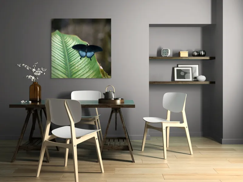 Tablou Canvas, "Fluture albastru odihnindu-se pe frunză", Fluture, Frunza, Verde, Natură, Delicat, Exotic, Contrast, Aripi, Eleganță, Lumină, 100 x 100 cm – poza 6