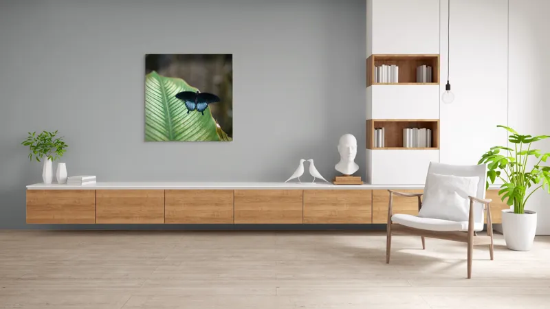 Tablou Canvas, "Fluture albastru odihnindu-se pe frunză", Fluture, Frunza, Verde, Natură, Delicat, Exotic, Contrast, Aripi, Eleganță, Lumină, 100 x 100 cm – poza 8