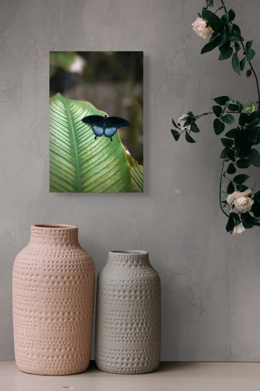 Tablou Canvas, "Fluture albastru odihnindu-se pe frunză", Fluture, Frunza, Verde, Natură, Delicat, Exotic, Contrast, Aripi, Eleganță, Lumină, 26 x 39 cm – poza 6