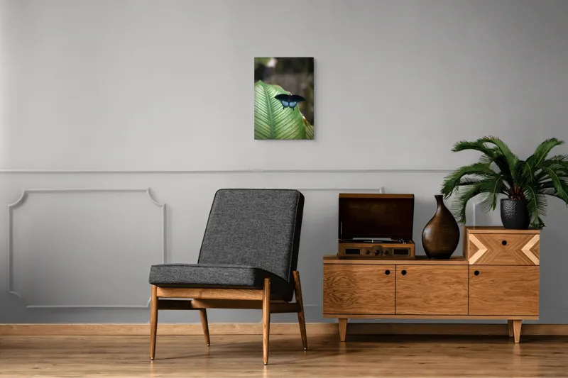 Tablou Canvas, "Fluture albastru odihnindu-se pe frunză", Fluture, Frunza, Verde, Natură, Delicat, Exotic, Contrast, Aripi, Eleganță, Lumină, 39 x 54 cm – poza 8