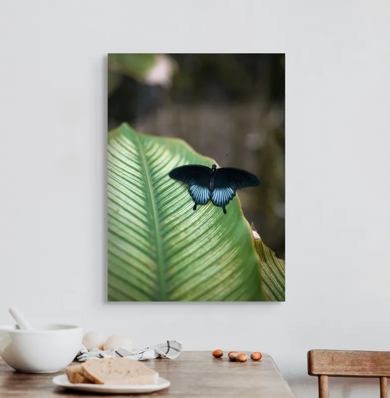 Tablou Canvas, "Fluture albastru odihnindu-se pe frunză", Fluture, Frunza, Verde, Natură, Delicat, Exotic, Contrast, Aripi, Eleganță, Lumină, 50 x 70 cm – poza 3