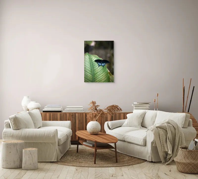 Tablou Canvas, "Fluture albastru odihnindu-se pe frunză", Fluture, Frunza, Verde, Natură, Delicat, Exotic, Contrast, Aripi, Eleganță, Lumină, 50 x 70 cm – poza 4