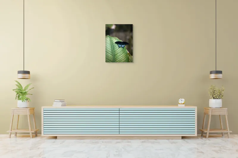 Tablou Canvas, "Fluture albastru odihnindu-se pe frunză", Fluture, Frunza, Verde, Natură, Delicat, Exotic, Contrast, Aripi, Eleganță, Lumină, 50 x 70 cm – poza 6