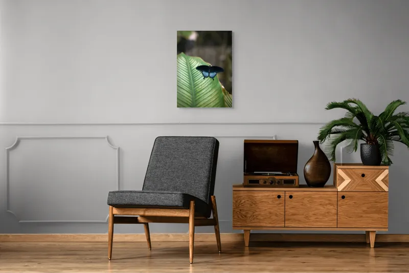 Tablou Canvas, "Fluture albastru odihnindu-se pe frunză", Fluture, Frunza, Verde, Natură, Delicat, Exotic, Contrast, Aripi, Eleganță, Lumină, 50 x 70 cm – poza 8