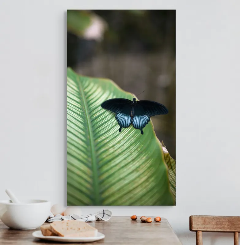 Tablou Canvas, "Fluture albastru odihnindu-se pe frunză", Fluture, Frunza, Verde, Natură, Delicat, Exotic, Contrast, Aripi, Eleganță, Lumină, 50 x 90 cm – poza 3