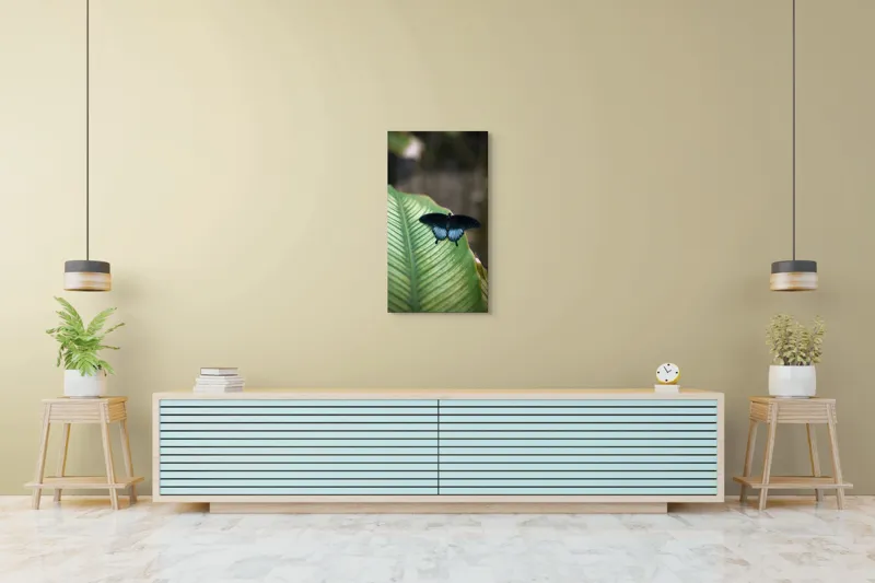 Tablou Canvas, "Fluture albastru odihnindu-se pe frunză", Fluture, Frunza, Verde, Natură, Delicat, Exotic, Contrast, Aripi, Eleganță, Lumină, 50 x 90 cm – poza 6