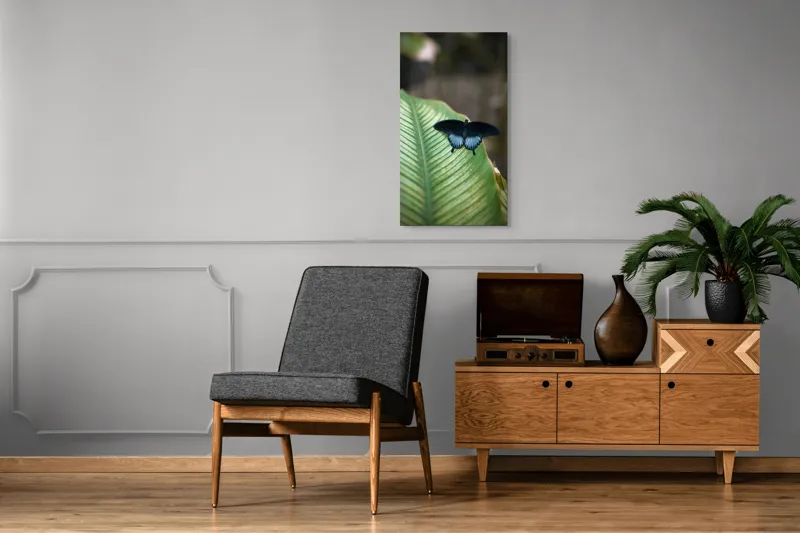Tablou Canvas, "Fluture albastru odihnindu-se pe frunză", Fluture, Frunza, Verde, Natură, Delicat, Exotic, Contrast, Aripi, Eleganță, Lumină, 50 x 90 cm – poza 8