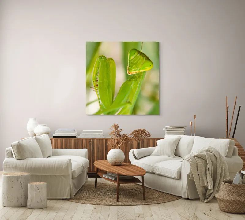 Tablou Canvas, "Răgazul mantidei în lumină verde", Mărilor, Verde, Antene, Ochi, Natură, Textură, Detalii, Transparent, Reflexii, 100 x 100 cm – poza 3